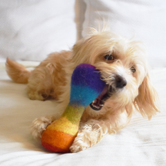 Rainbow Woolbone Dog Toy