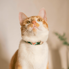 Sambboho Phoenix Beaded Cat Collar