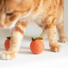 Peach Wool Dog & Cat Toy