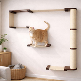 Catastrophic Creations The Climb Condo Cat Wall System