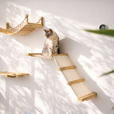 Catastrophic Creations The Lift Cat Hammock Bed