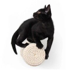 Floating Cat Step for Wall