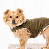 Modern Classic Dog Coat