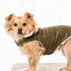 Modern Classic Dog Coat