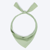 Party Bandana