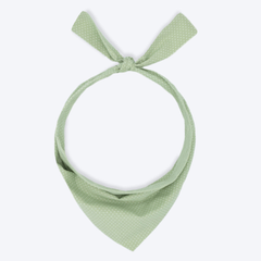 Party Bandana - Biscuit & Bell