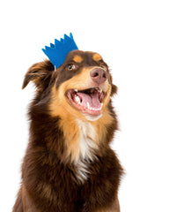 Bright Party Beast Crown