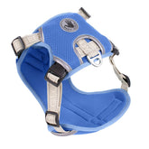 Body Glove Cooling Harness - Biscuit & Bell