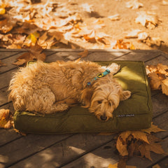 Body Glove Paintflower Pet Napper