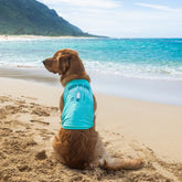 Body Glove Pet Sun Shirt - Biscuit & Bell