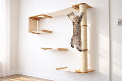 Catastrophic Creations The Climb Condo Cat Wall System