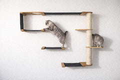 Catastrophic Creations The Climb Condo Cat Wall System