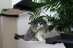 Catastrophic Creations Gardens Cat Condo