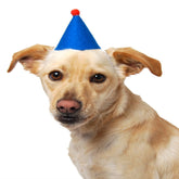 Party Beast Pawty Hat
