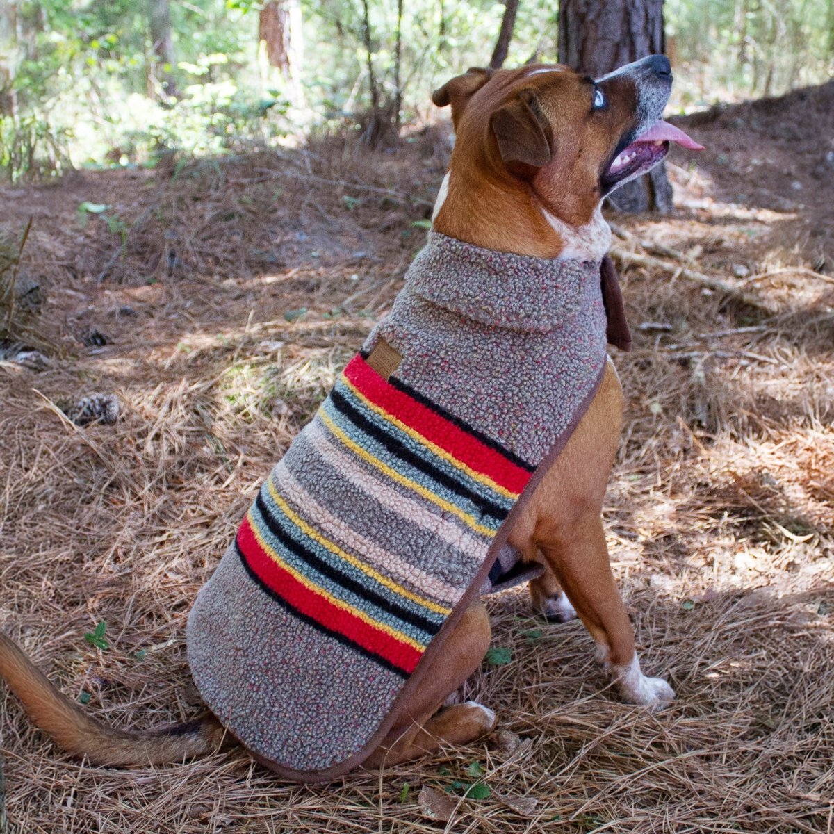 Pendleton Vintage Camp Dog Coat - Biscuit & Bell