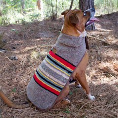 Pendleton Vintage Camp Dog Coat - Biscuit & Bell