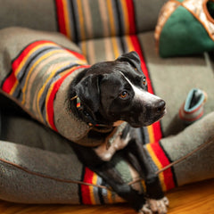 Pendleton Vintage Camp Dog Coat - Biscuit & Bell