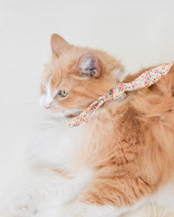 Adventure Necktie