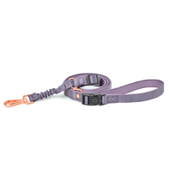 City Collar & Leash Set – Lilac Gray