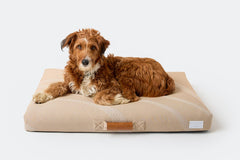 Brigette Romanek 3D Knit Orthopedic Dog Bed