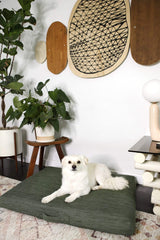 Sage Modern Dog Bed or Bed Cover