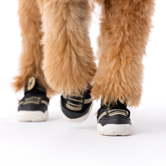 Paws By Kai Dog Sport Shoes