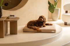 Brigette Romanek 3D Knit Orthopedic Dog Bed