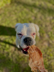 Chicken Breast - Thin Cut