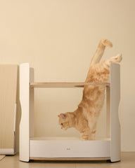 All Day Cat Rack