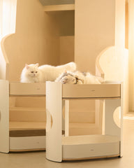 All Day Cat Rack
