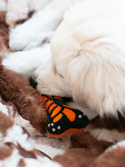 Monarch Butterfly Woolbone Dog Toy
