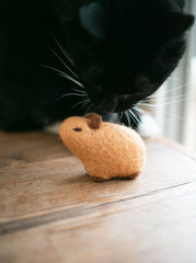 Black cat sniffing a small brown plush toy on a wooden surface