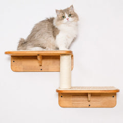 Small Living Room Cat Wall Set