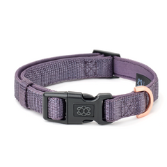 City Collar & Leash Set – Lilac Gray