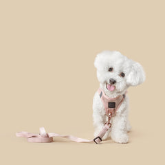 SoHo Dog Walking Set – Blush Pink