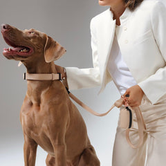 City Collar & Leash Set – Dune