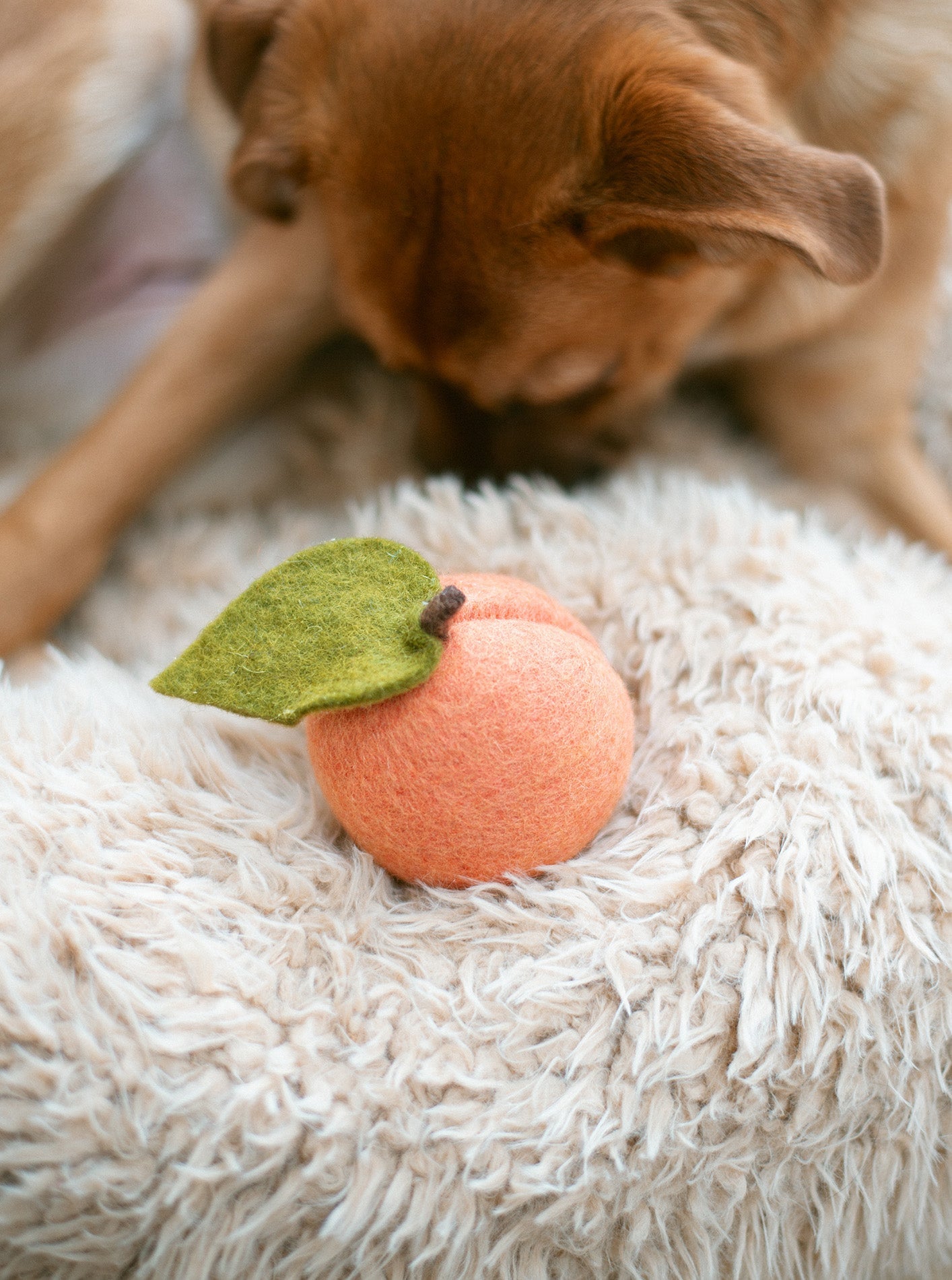 PEACH WOOL DOG & CAT TOY - Biscuit & Bell