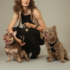 A woman kneels on a neutral studio floor with two dogs wearing dog harnesses. The woman wears a black sleeveless top with a beige vest.