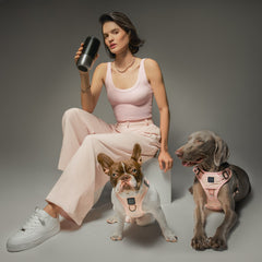 SoHo Dog Harness - Sweetheart