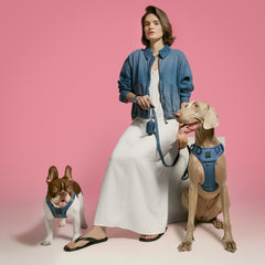 SoHo Dog Harness - Denim