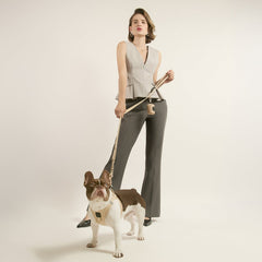 SoHo Dog Harness - Dune