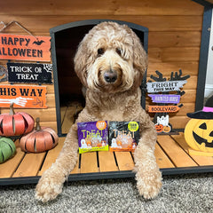 Farm to Pet Howl-O-Ween Snack Packs