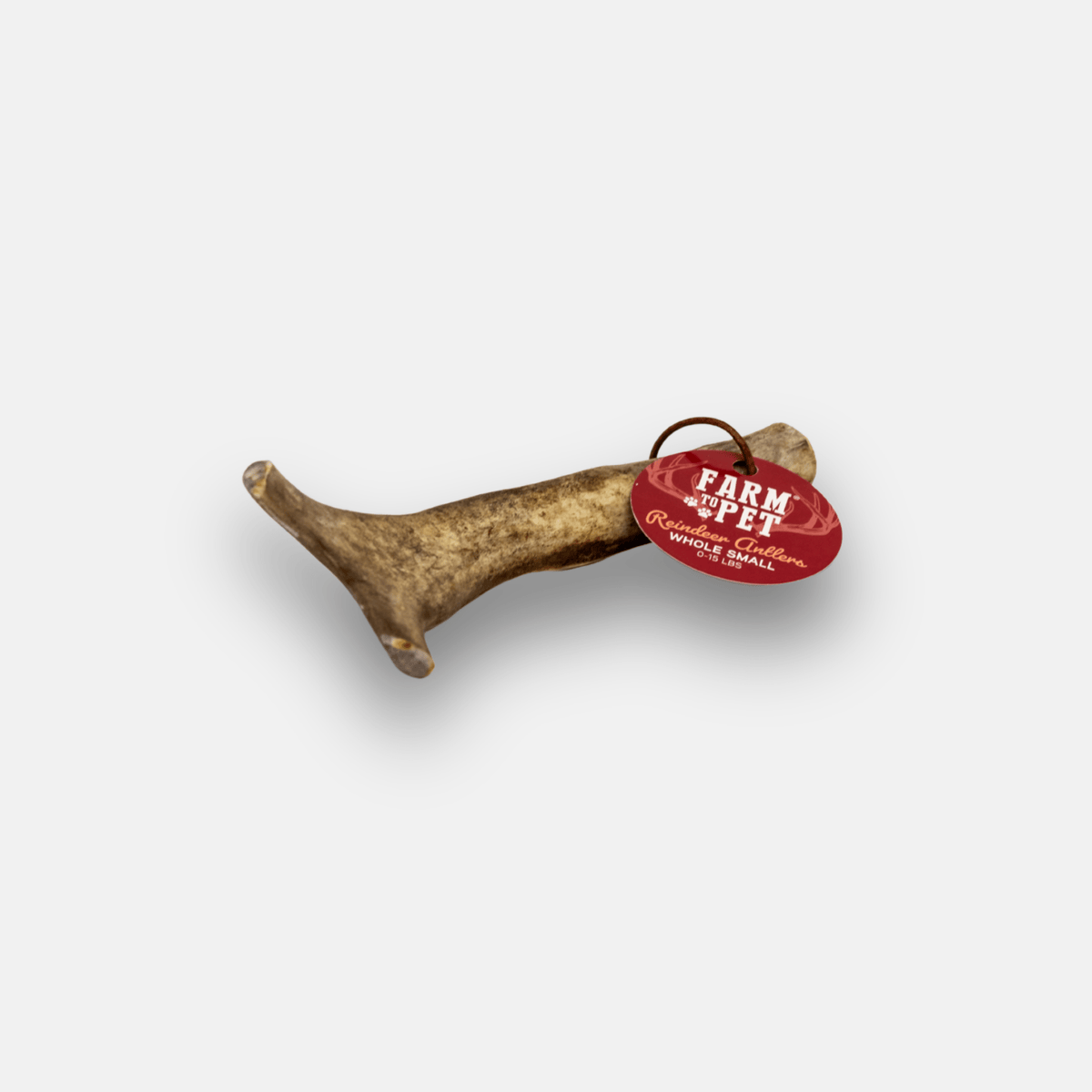 Reindeer Antler Dog Chews - Biscuit & Bell