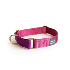 martingale collar / rose + grape / limited edition - Biscuit & Bell