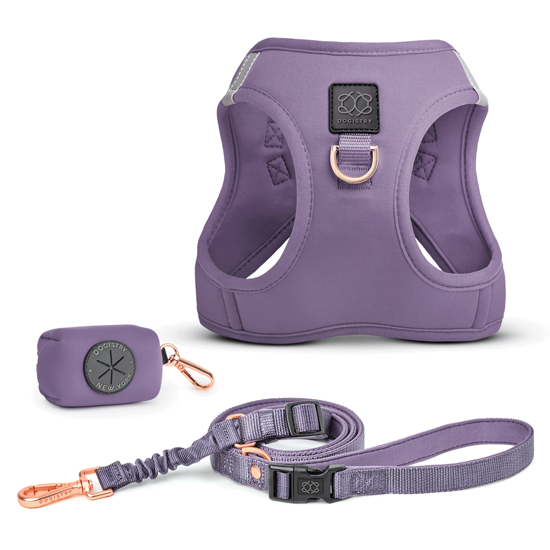 SoHo Dog Walking Set – Lilac Gray