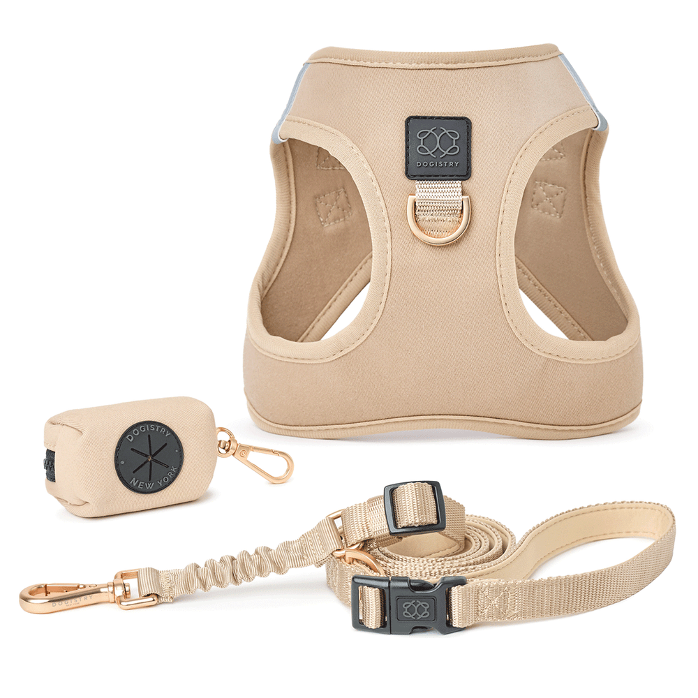 SoHo Dog Walking Set – Dune