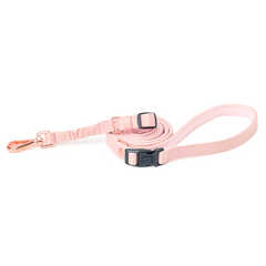 City Collar & Leash Set – Blush