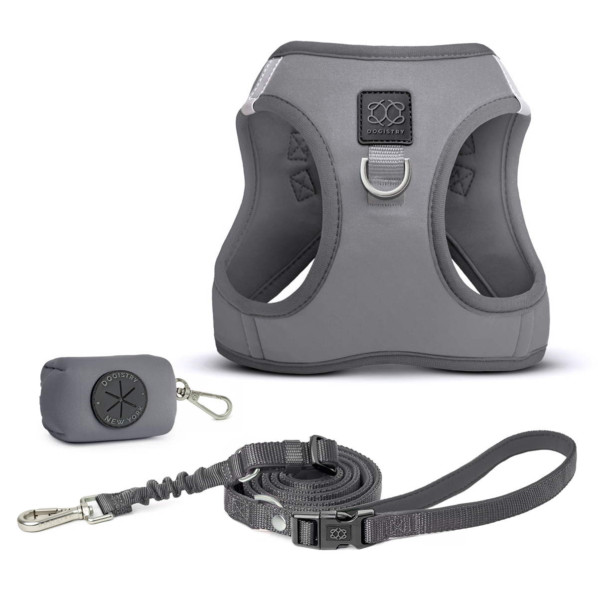 SoHo Dog Walking Set – Steel
