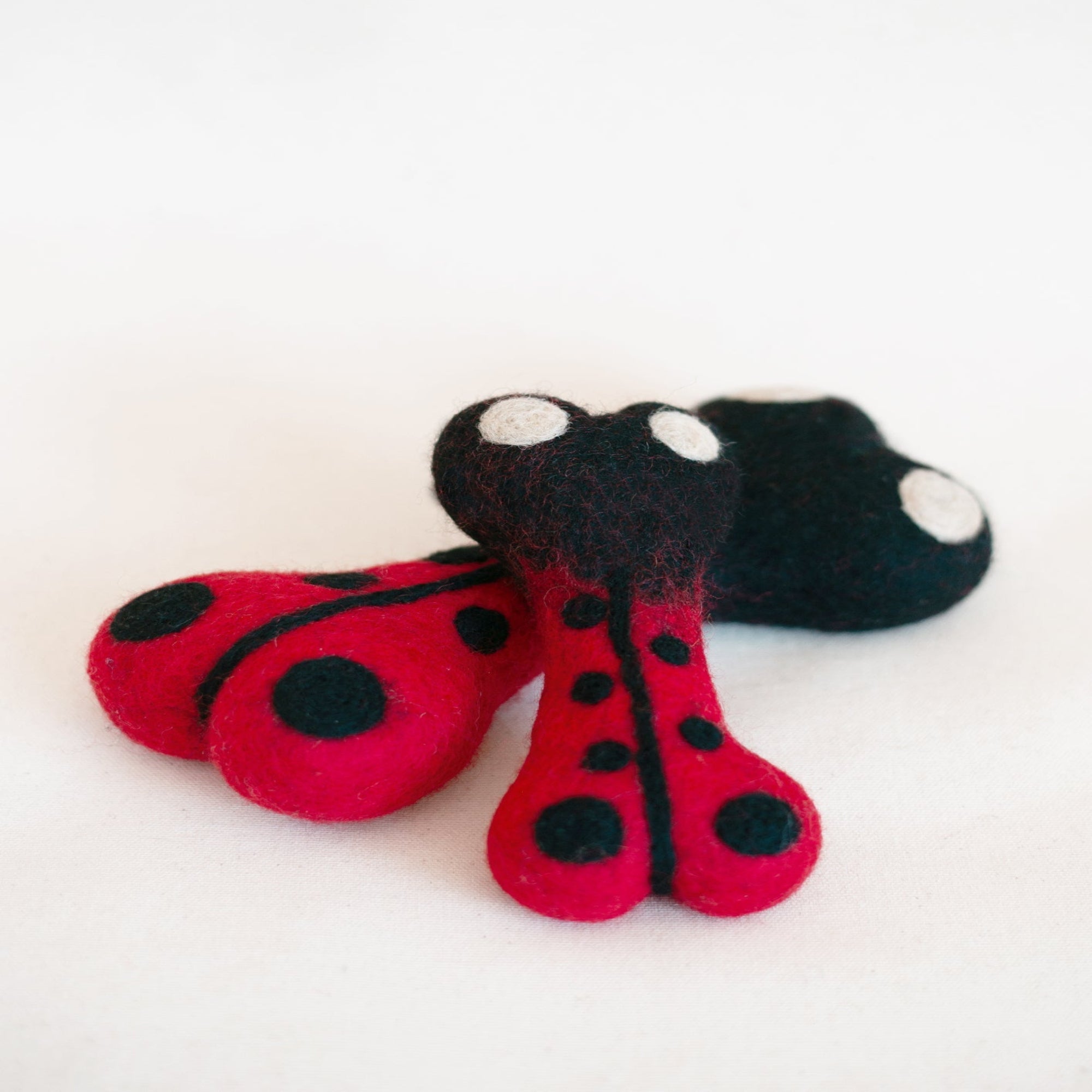 Red and black ladybug-shaped toy on a white background