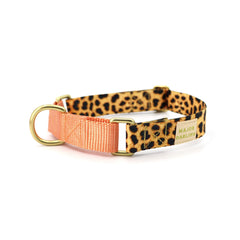 Leopard City Walk Collar + Leash Set